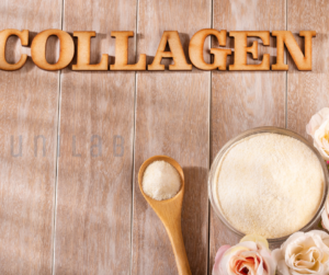 Hydrolyzed Collagen