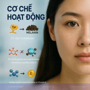 Chiết Xuất Cam Thảo Cô Đặc
