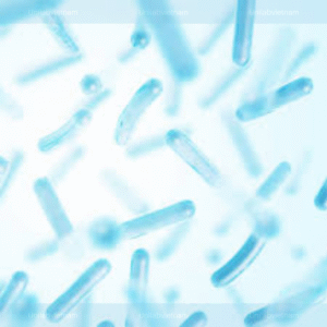 Lactobacillus Ferment Lysate