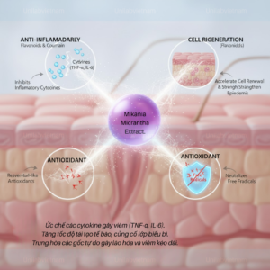 Mikania Micrantha Extract.