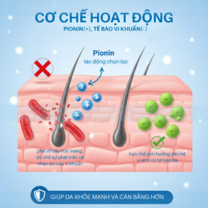 Pionin (Quaternium-73) Hoạt chất kháng khuẩn