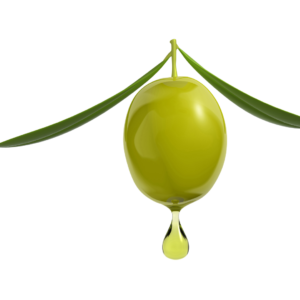 Plantasens® Olive LD – Chất Làm Mềm Tự Nhiên