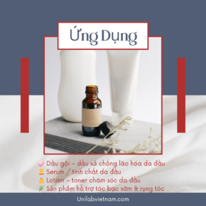 DN-Age™ – Hoạt Chất Chống Lão Hóa Da Đầu