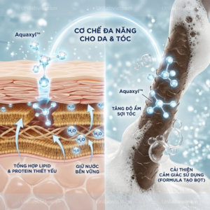 Aquaxyl™ hoạt chất dưỡng ẩm