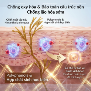 SAGACIOUS – HOẠT CHẤT TẢO BIỂN
