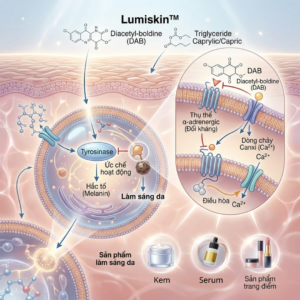 LUMISKIN™ – HOẠT CHẤT ỨC CHẾ MELANIN LÀM SÁNG DA