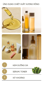 Chiết Xuất Xương Rồng