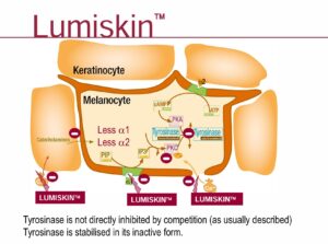LUMISKIN™ – HOẠT CHẤT ỨC CHẾ MELANIN LÀM SÁNG DA