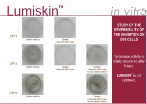 LUMISKIN™ – HOẠT CHẤT ỨC CHẾ MELANIN LÀM SÁNG DA