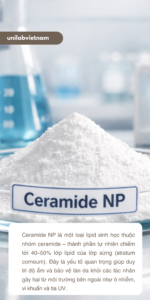 Ceramide NP