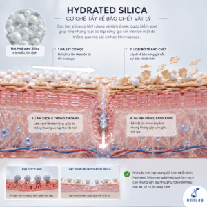 Hydrated Silica Từ Vỏ Trấu