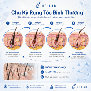 Rụng tóc bình thường