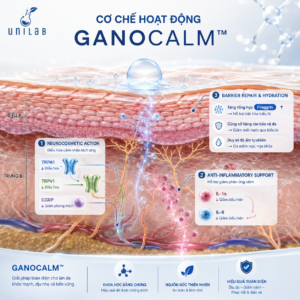 GANOCALM™ – Chiết Xuất Nấm Linh