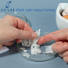 Chiết Xuất Màng Vỏ Trứng Emlastic