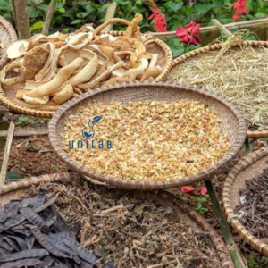 Gia Công Dầu Gội Thảo Mộc