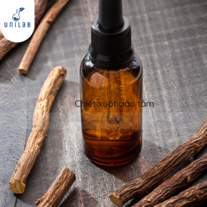 chiết xuất rễ dâu tằm