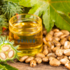 Babassu Oil Glycereth-8 Esters