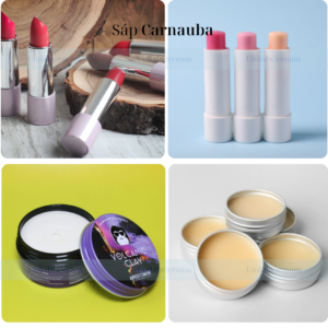 Sáp Carnauba