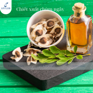 Chiết Xuất Chùm Ngây