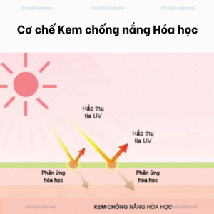 Kem chống nắng hóa học