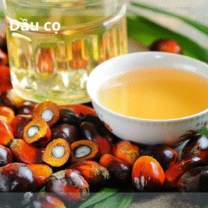 Dầu Cọ