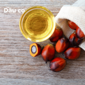 Dầu Cọ
