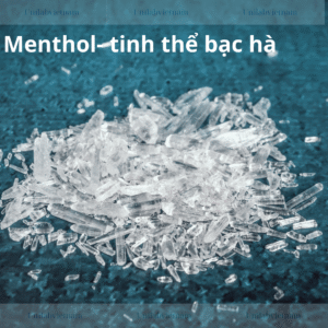 Menthol – Tinh Thể Bạc Hà