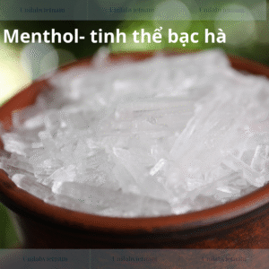 Menthol – Tinh Thể Bạc Hà