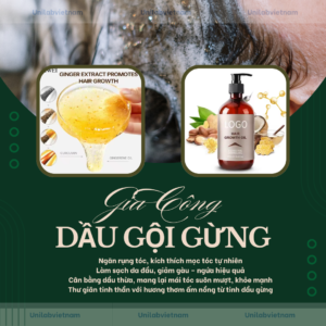 Gia công dầu gội gừng