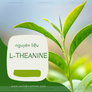 L-Theanine