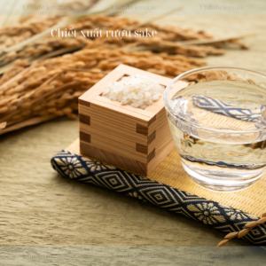 Chiết xuất rượu Sake