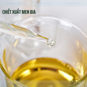 Chiết Xuất Men Bia