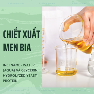 Chiết Xuất Men Bia