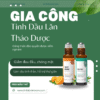 Gia công tinh dầu lăn thảo dược thiên nhiên