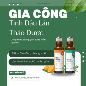 Gia công tinh dầu lăn thảo dược thiên nhiên