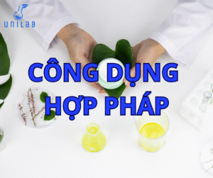 Dịch vụ dạy sản xuất mỹ phẩm
