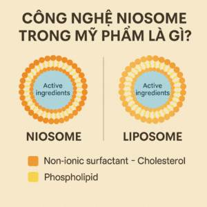 Công Nghệ Niosome Trong Mỹ Phẩm