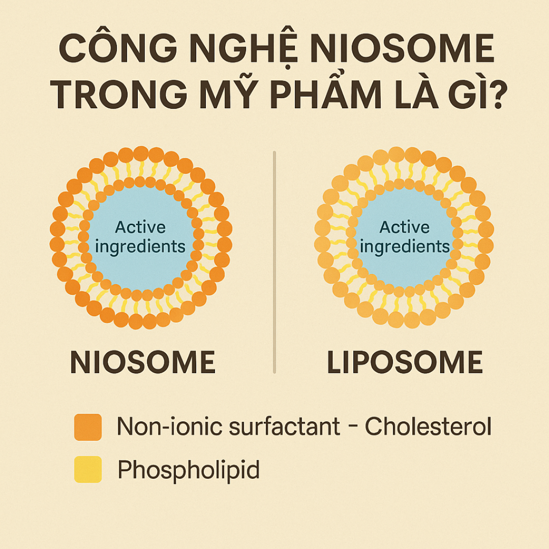 Công Nghệ Niosome Trong Mỹ Phẩm