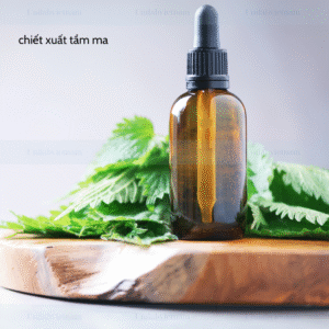Chiết Xuất Tầm Ma