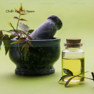 Chiết xuất lá neem
