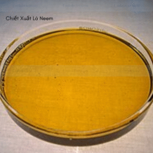 Chiết xuất lá neem