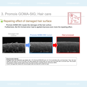 Promois GOMA-SIG
