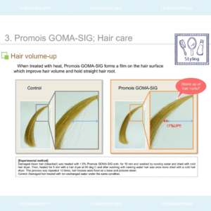 Promois GOMA-SIG