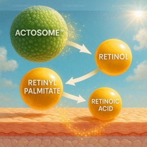Actosome Retinol Palmitate 20