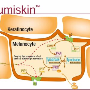 LUMISKIN™ – HOẠT CHẤT ỨC CHẾ MELANIN LÀM SÁNG DA