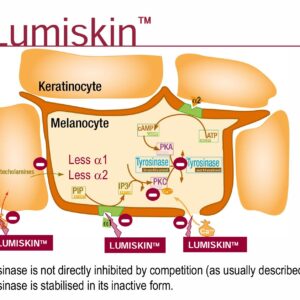 LUMISKIN™ – HOẠT CHẤT ỨC CHẾ MELANIN LÀM SÁNG DA