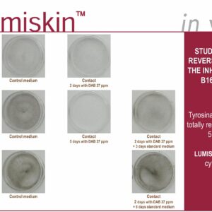 LUMISKIN™ – HOẠT CHẤT ỨC CHẾ MELANIN LÀM SÁNG DA