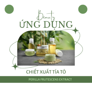 Chiết xuất tía tô